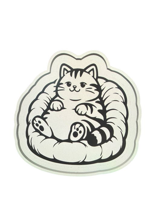 FAT CAT SITTING ON BEAN BAG CHAIR